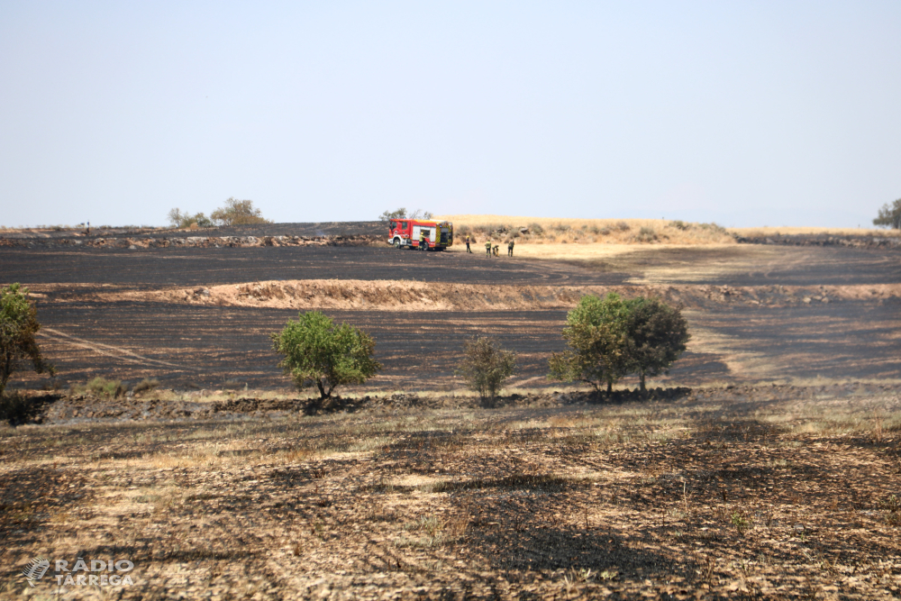 Controlat l'incendi de vegetació agrícola de Tàrrega, que ha cremat prop de 39 hectàrees