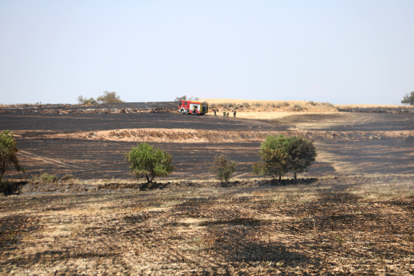 Controlat l'incendi de vegetació agrícola de Tàrrega, que ha cremat prop de 39 hectàrees