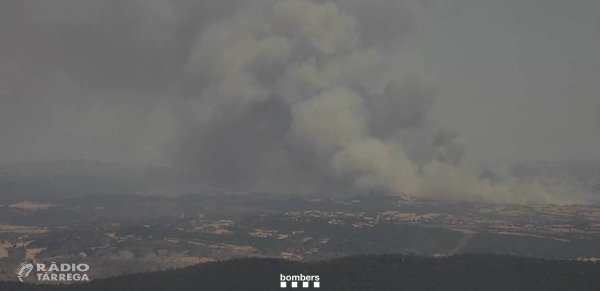 Els Bombers treballen en un incendi agrícola a prop del nucli de Selvanera, a Torrefeta i Florejacs