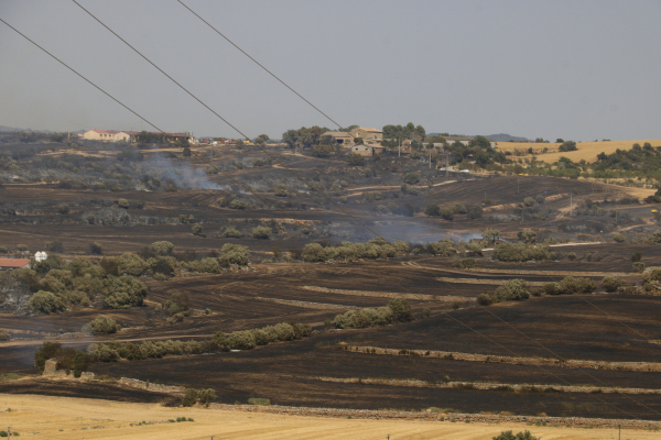 Els Bombers preveuen controlar aquest vespre l'incendi de Torrefeta, que ha arrencat amb "molta virulència"