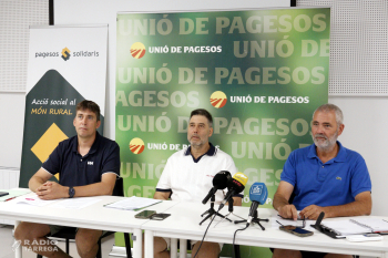 Unió de Pagesos estima que el sector porcí ha perdut 100 MEUR per l'efecte de la PPA durant el primer semestre
