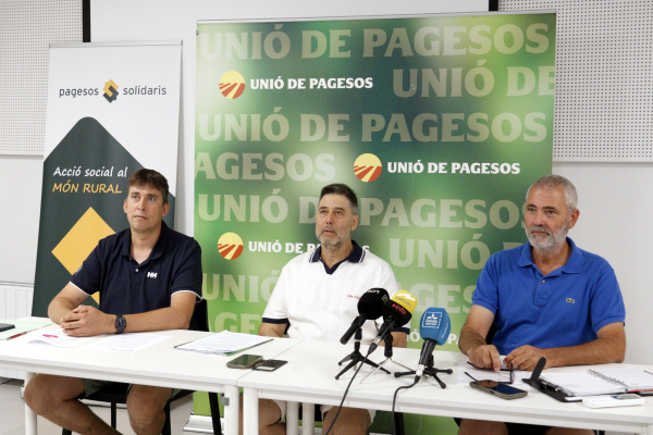 Unió de Pagesos estima que el sector porcí ha perdut 100 MEUR per l'efecte de la PPA durant el primer semestre