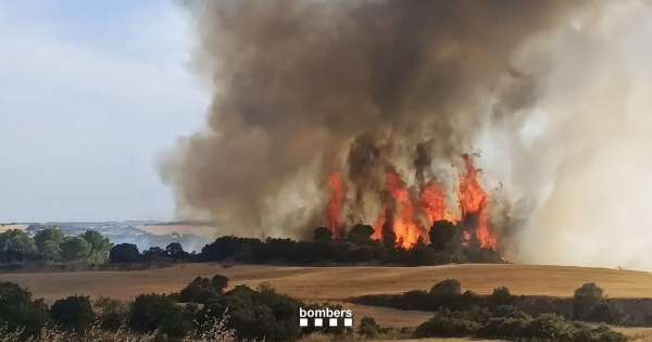 La represa de l'incendi de Guimerà obliga a confinar més de 21.000 persones i a tallar l'A-2 al seu pas per Tàrrega