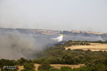 Els Bombers són optimistes amb la represa del foc de Guimerà i confien tornar-lo a estabilitzar les pròximes hores