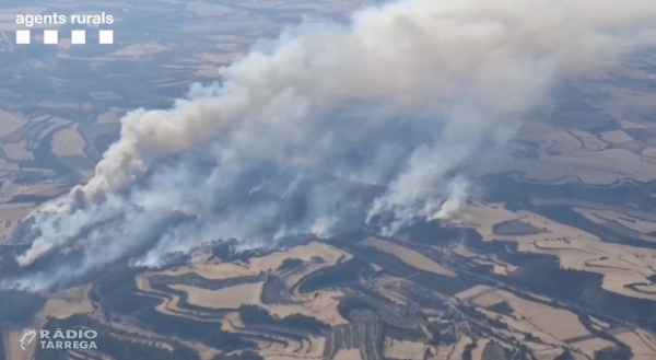 L'incendi de Guimerà eleva la superfície afectada fins a les 409 hectàrees