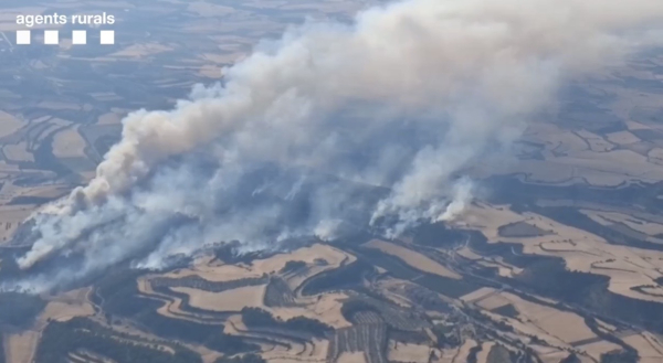 L'incendi de Guimerà eleva la superfície afectada fins a les 409 hectàrees