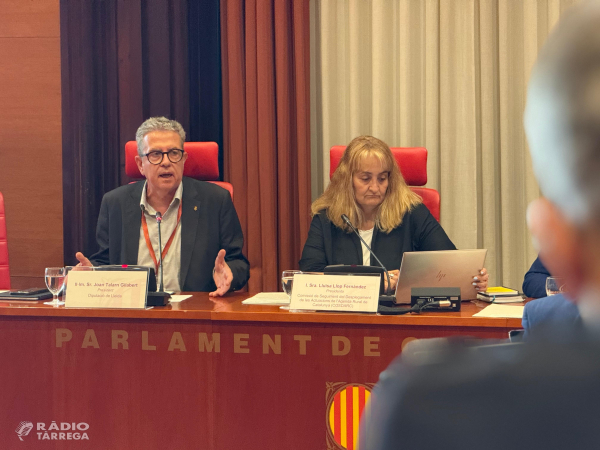 La Diputació de Lleida defensa al Parlament un nou model de gestió adaptativa dels boscos per garantir el futur del món rural