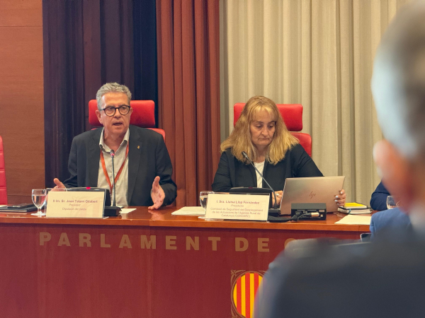 La Diputació de Lleida defensa al Parlament un nou model de gestió adaptativa dels boscos per garantir el futur del món rural
