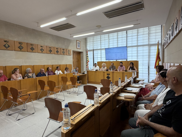 El Consell Comarcal de l'Urgell aprova acords per reforçar els serveis públics i impulsar nous projectes de territori