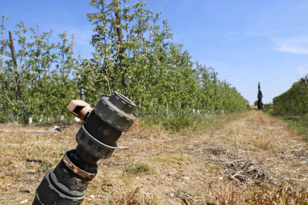 Agricultura destinarà prop de 40 milions d'euros fins al 2029 a la modernització dels regadius comunitaris