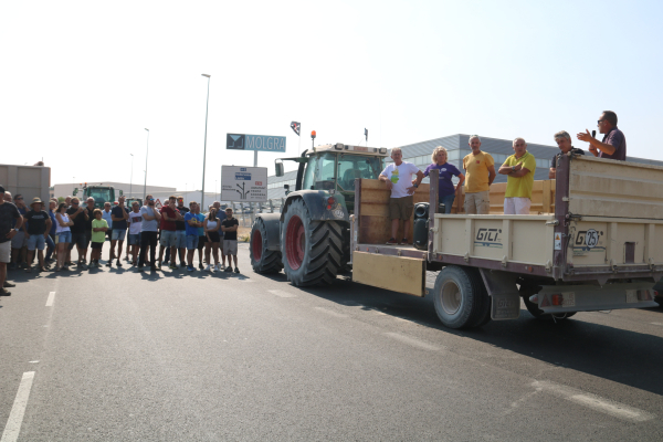 Pagesos tallen la C-14 a Tàrrega per segon dia aquesta setmana per la sobrepoblació de conills i la gestió de les ZEPA
