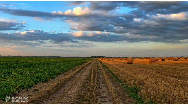 Agricultura destina 20 milions d'euros als ajuts del Pla d'assegurances agràries 2026