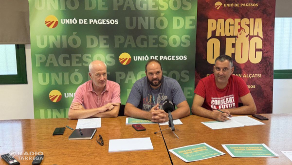 Unió de Pagesos demana a Agricultura un ajut per a l’avellaner, i per a l’ametller i el garrofer de secà afectats per la sequera
