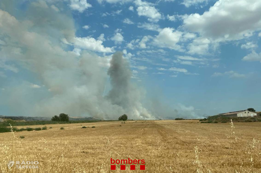 Un incendi crema 1,4 hectàrees d’un camp segat al nucli de Puelles, a Agramunt