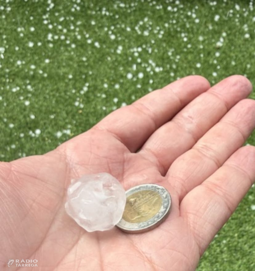 Tempestes acompanyades de pedra afecten cultius de fruita del Segrià