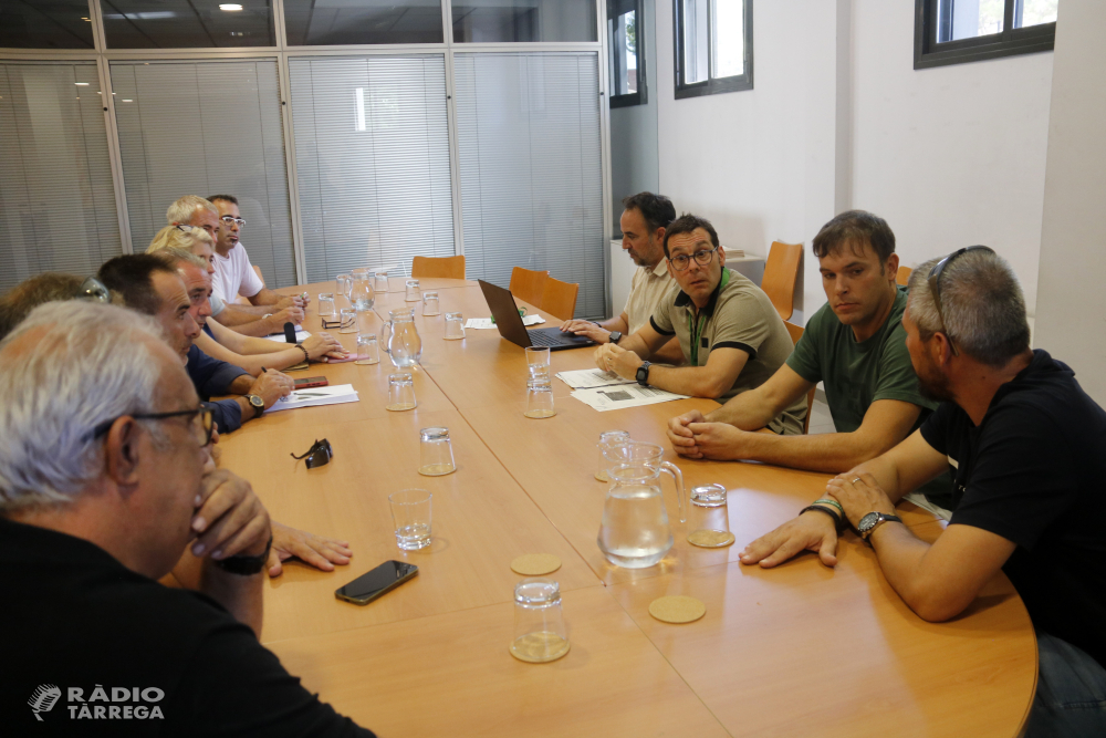 Capturats prop de 8.000 conills en 17 dies a Verdú en l'acció intensiva per controlar la sobrepoblació de l'espècie