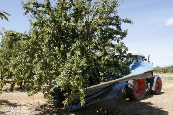 JARC reclama a Agricultura l'avançament de la PAC per reforçar la liquiditat de les explotacions agràries
