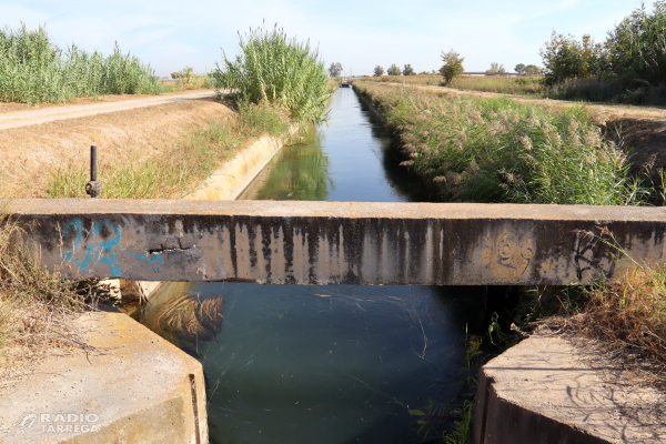 El canal d’Urgell tanca una campanya de reg marcada per la calor de l’estiu que ha fet augmentar la demanada d’aigua
