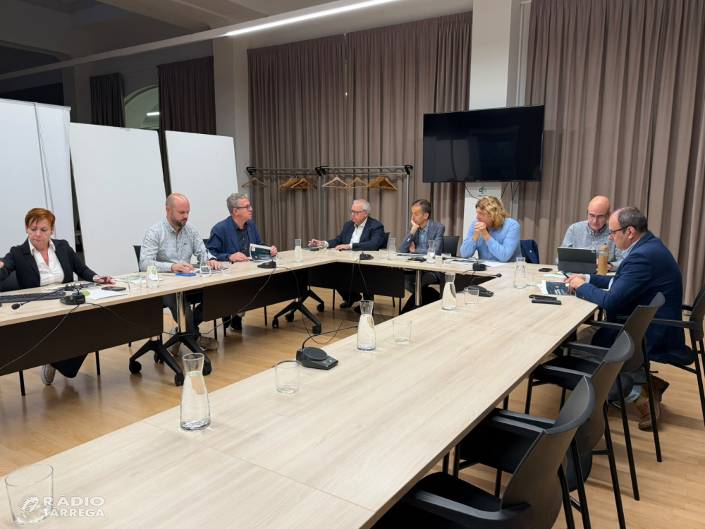 La Diputació de Lleida presenta als consells comarcals una nova xarxa de serveis per impulsar la transició energètica