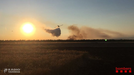 Un incendi agrícola a Belianes afecta més de 27 hectàrees de camps d'ordi sense segar