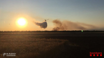 Un incendi agrícola a Belianes afecta més de 27 hectàrees de camps d'ordi sense segar