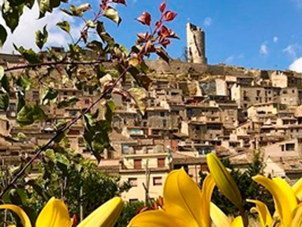 Guimerà - Vila Florida