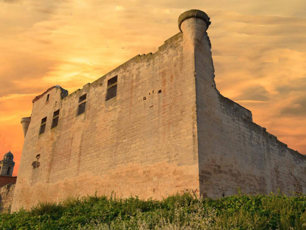 Història de l'Urgell