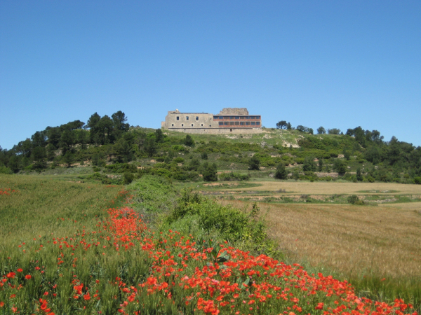 Santuari del Tallat de Rocallaura