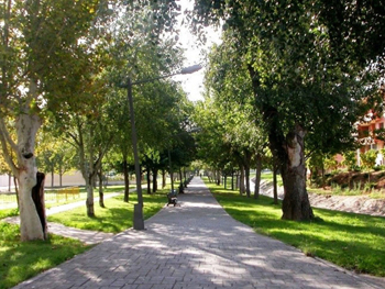 Zones Verdes i Llocs per Passejar