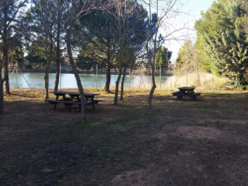 Àrea de pícnic de Castellserà
