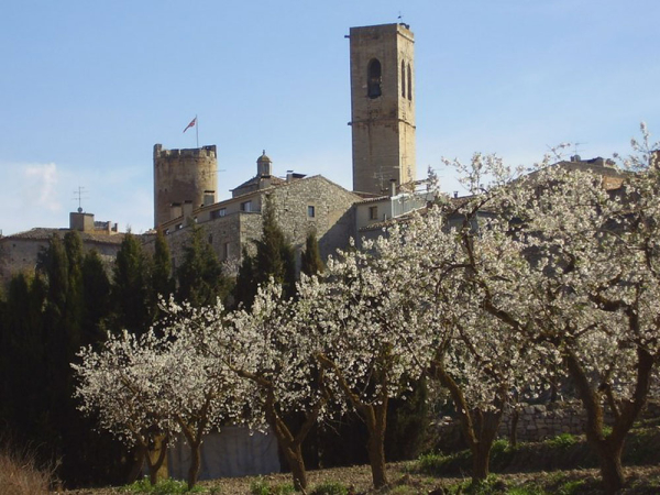 Verdú