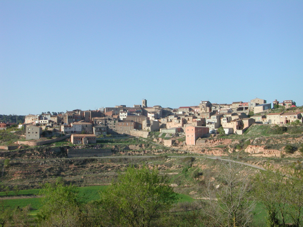 Rocallaura