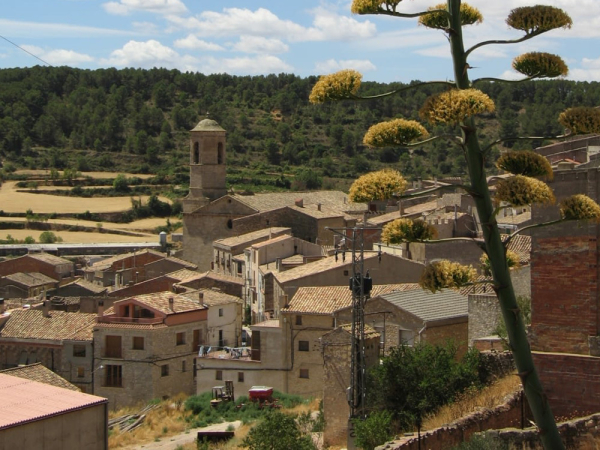 La Ruta dels Omells - PR C56