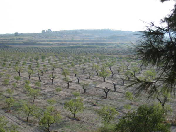 La Baronia de Maldà - PR C57