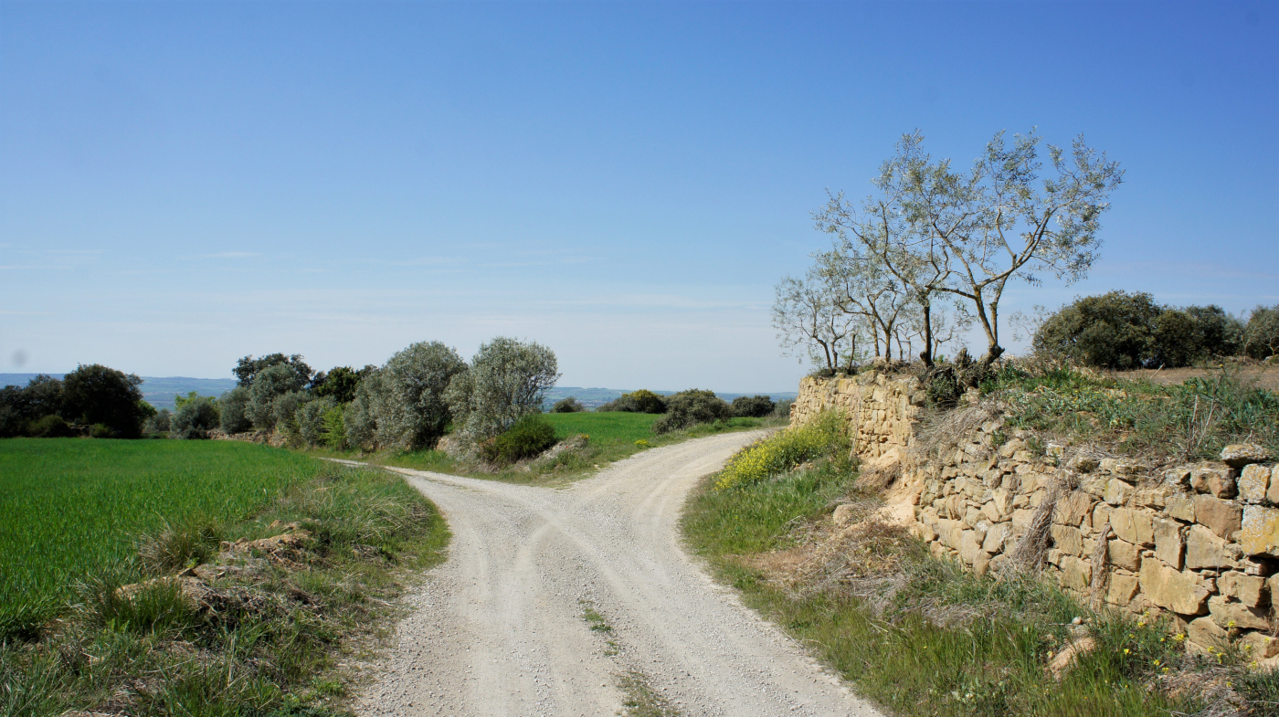 L'Urgell compta amb 3 rutes de trail running