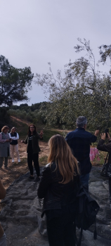 Turisme Urgell participa al Benchmark Oleoturisme Terres de Lleida del 23 d'octubre