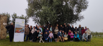 Èxit de participació a L'Urgell, un passeig entre oliveres, del 9 i 10 de novembre