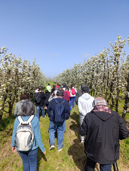 BONA AFLUÈNCIA DE PÚBLIC A L’URGELL, UN PASSEIG ENTRE FRUITERS