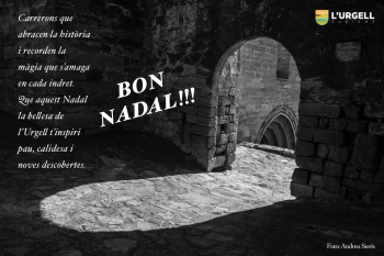 BON NADAL I FELIÇ ANY NOU !!!