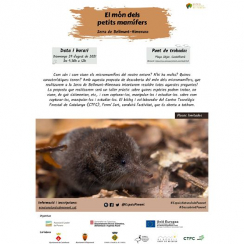 Descoberta del món dels petits mamífers a la Serra de Bellmunt-Almenara