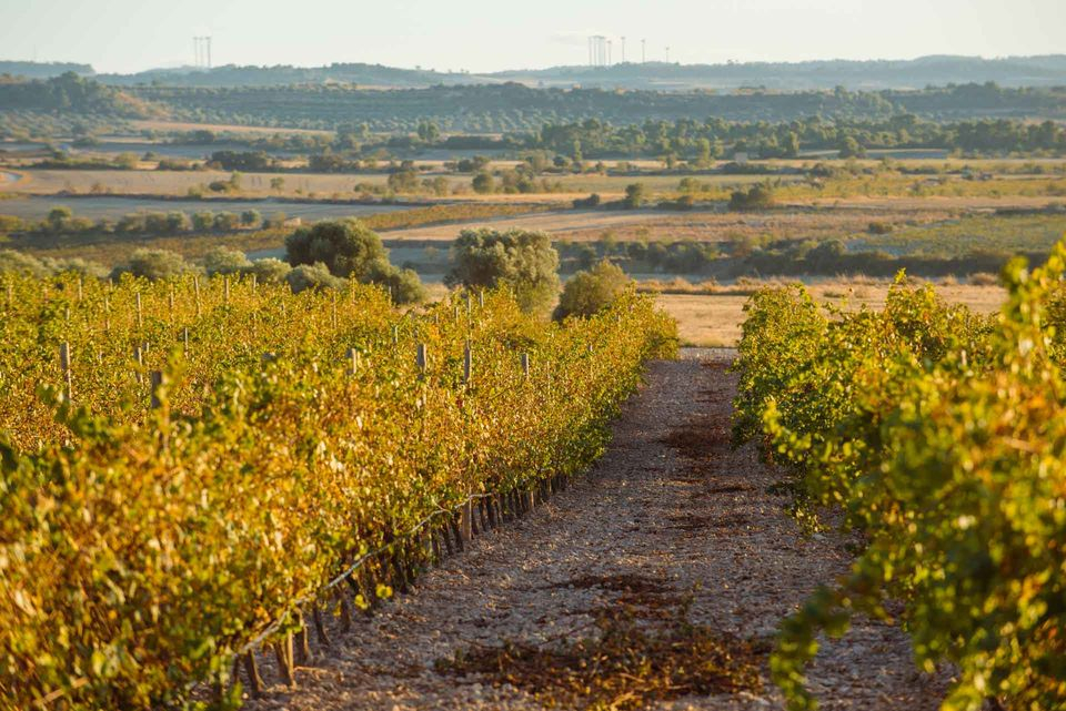 Es reuneix la taula de treball per al turisme de l'Urgell