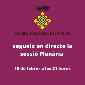 Seguiu la sessió ordinària del Ple del Consell Comarcal de l'Urgell.