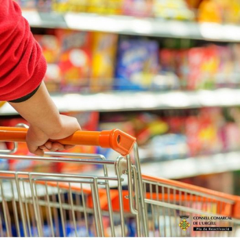 Ingrés mínim vital