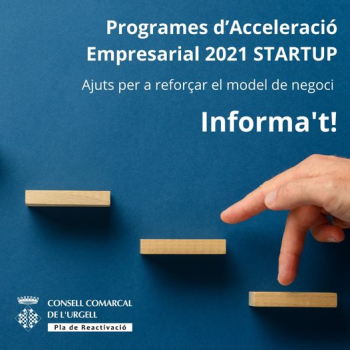 Programa LLEIDA STARTUP: Ajuts per a reforçar el model de negoci que tinguin un component innovador