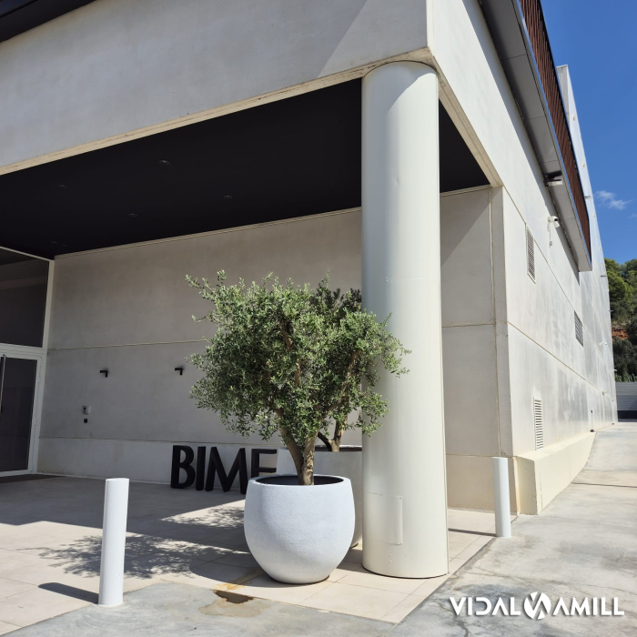 Treballs finalitzats a la nau biomèdica de Molins de Reis