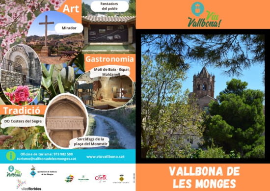 Díptic fotogràfic Vallbona (CA)