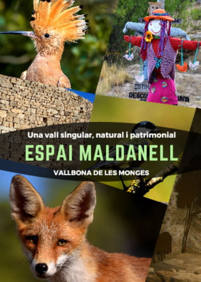 Díptic Espai Maldanell (CA / ES / FR / EN)