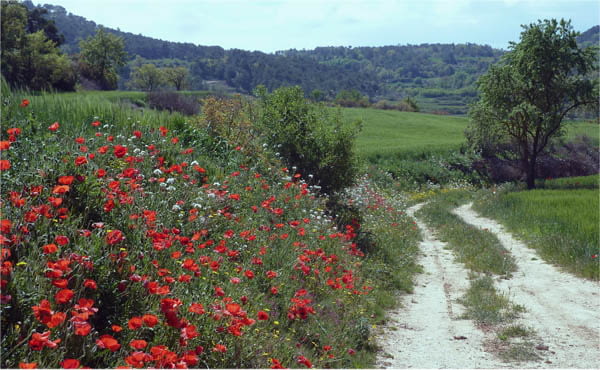 Natura i biodiversitat