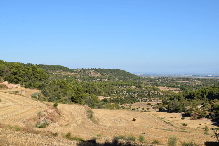 Zona de miradores