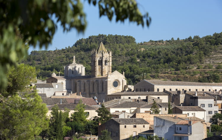 No et pots perdre...